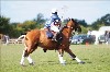 UKPA NC SAT_2447